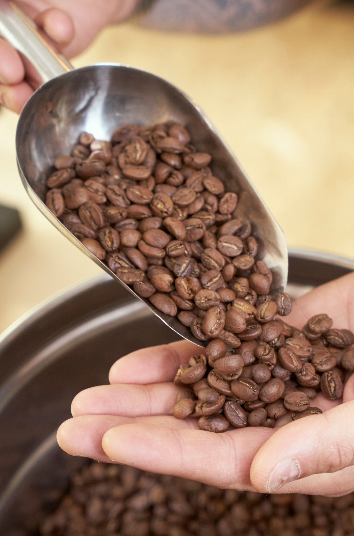 KAVA coffee roasters frischer Bio Kaffee